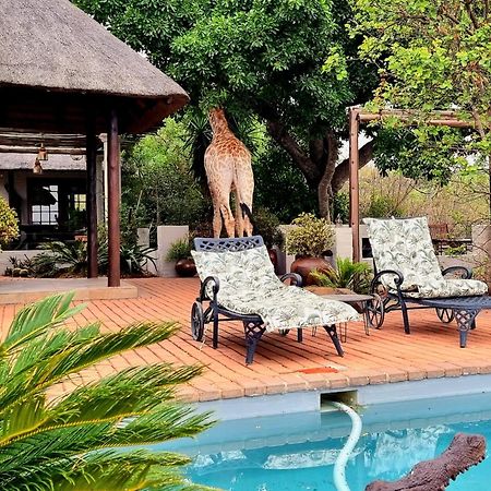 Graceland Eco Retreat Magoebaskloof Eksteriør bilde