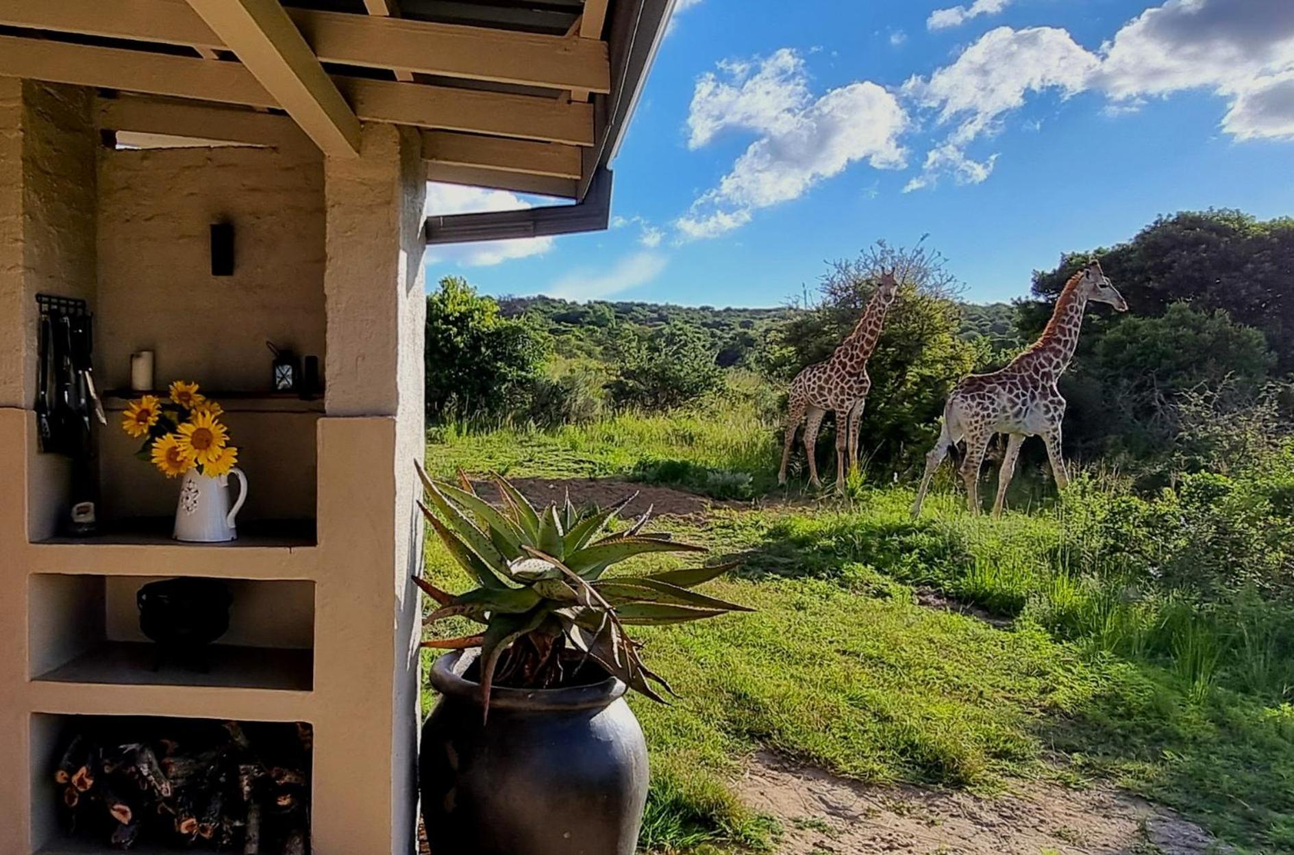 Graceland Eco Retreat Magoebaskloof Eksteriør bilde
