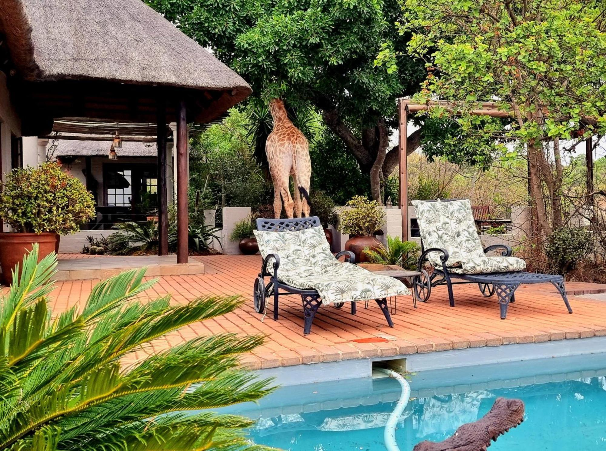 Graceland Eco Retreat Magoebaskloof Eksteriør bilde
