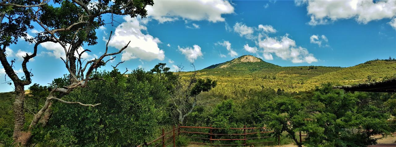 Graceland Eco Retreat Magoebaskloof Eksteriør bilde